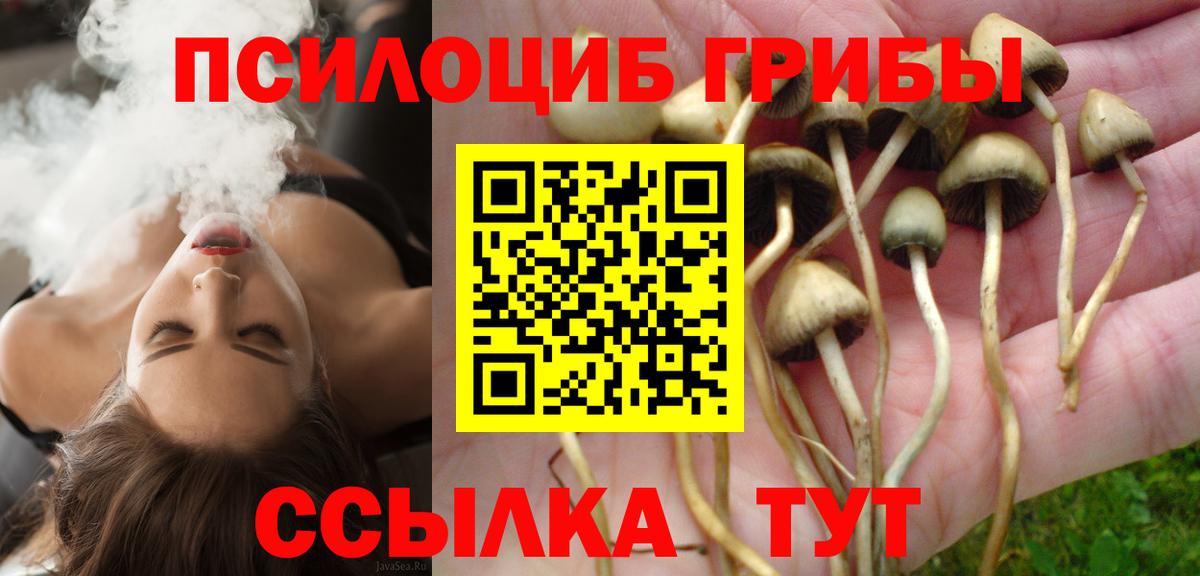 Псилоцибиновые грибы Cubensis  Вход с VPN  Чита 